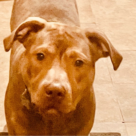 Hello!! Thanks for visiting. - Picture 2 of 4